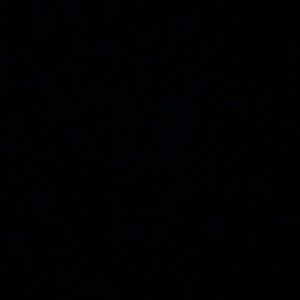 Meet your Posher, Izaiah